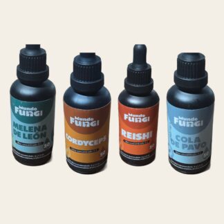 Pack Los 4 extractos de hongos: melena de león, cordyceps, reishi y cola de pavo — Micelio Store